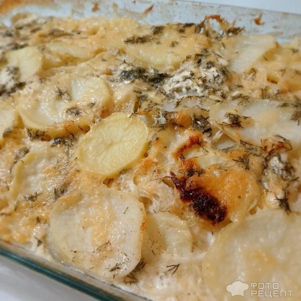Рецепт: Гратен дофинуа - Королевская картофельная запеканка по-французски. Праздничное семейное блюдо выходного дня