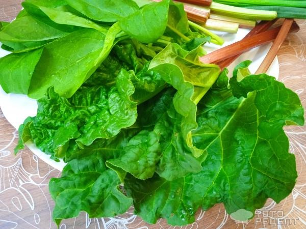 Рецепт: Суп куриный с овощами и зеленью - с ревенем и шпинатом