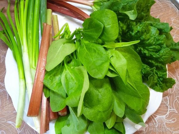 Рецепт: Суп куриный с овощами и зеленью - с ревенем и шпинатом