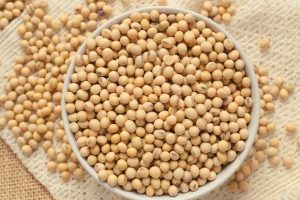 “Фальшивые” продукты — в рацион: стало известно, кому полезно соевое мясо